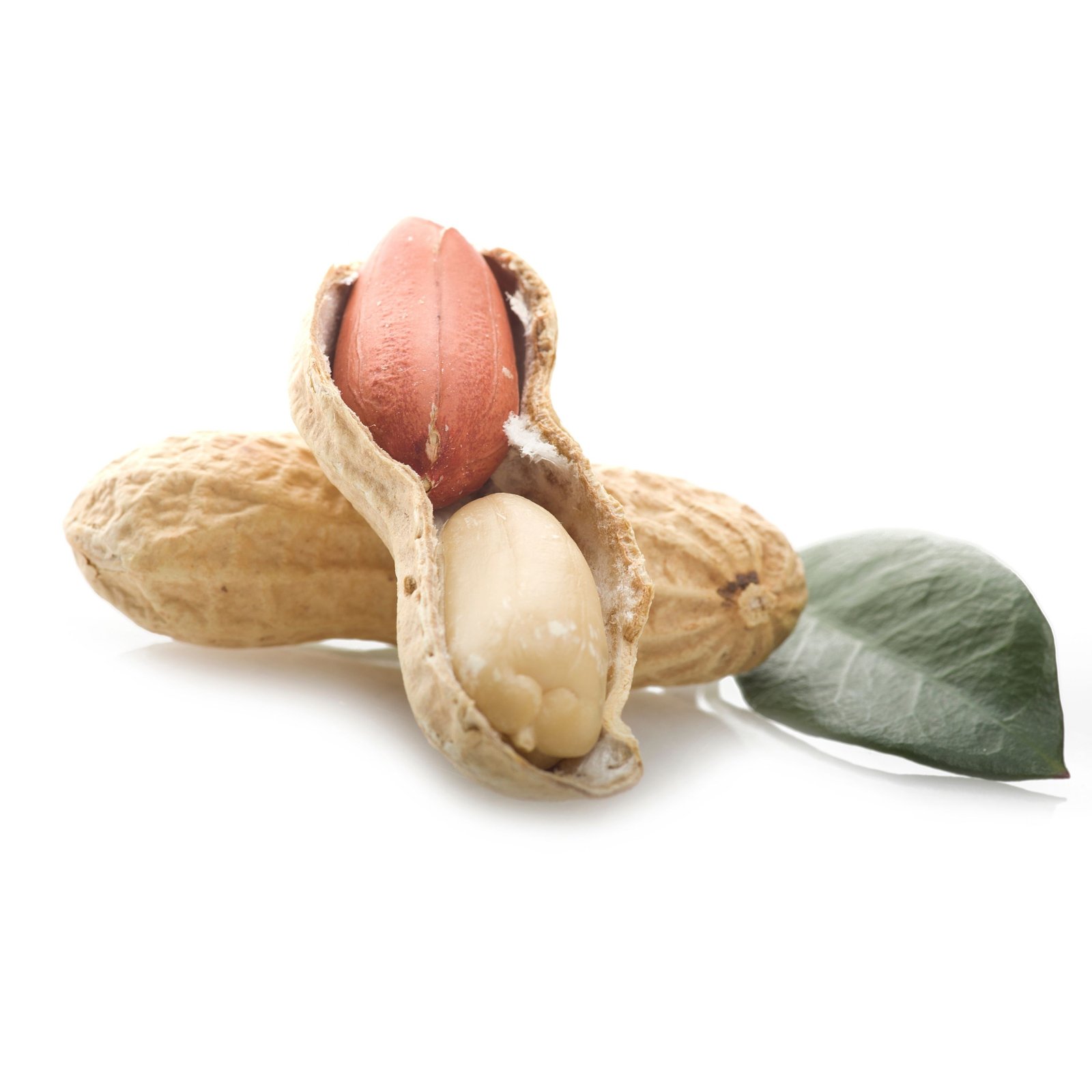 CACAHUATE EN VAINA 1 KG.